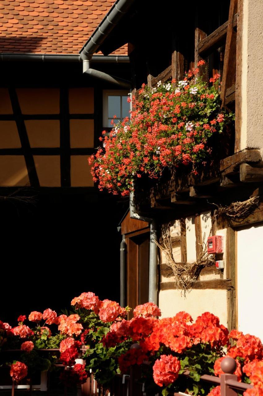 La Cour Du Bailli Suites & Spa Bergheim Exterior foto